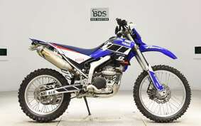 YAMAHA WR250R DG15J