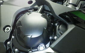 KAWASAKI NINJA 1000 SX 2023 ZXT02K