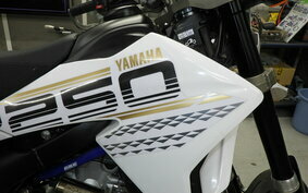 YAMAHA WR250X DG15J