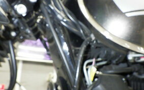 KAWASAKI W800 CAFE 2020 EJ800B