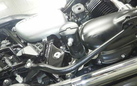 KAWASAKI W800 CAFE 2020 EJ800B