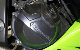 KAWASAKI NINJA 250 EX250L