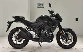 YAMAHA MT-25 A RG74J