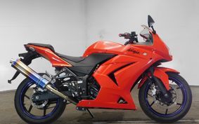 KAWASAKI NINJA 250R 2009 EX250K