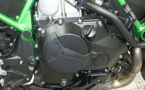 KAWASAKI ZH2 2021 ZRT00K