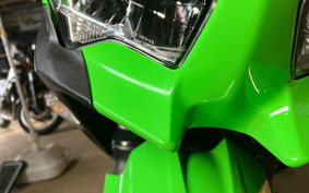 KAWASAKI NINJA 400 2021 EX400G