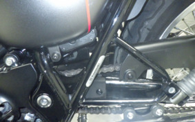 KAWASAKI W800 STREET 2022 EJ800E