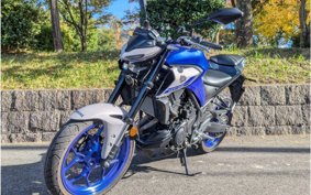 YAMAHA MT-25 RG43J