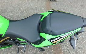 KAWASAKI NINJA ZX-6R 2020 ZX636G