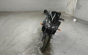 YAMAHA FZ FAZER FEATHER 2010 RN21J