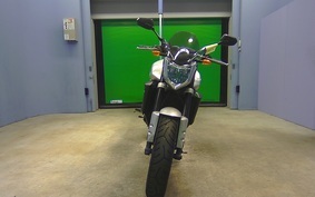 YAMAHA FZ FAZER 2010 RN16