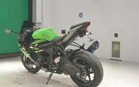 KAWASAKI NINJA ZX-6R A 2019 ZX636G