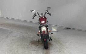 YAMAHA VIRAGO 250 3DM