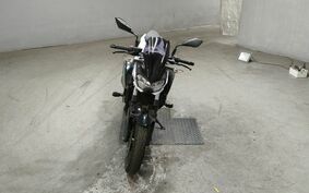 KAWASAKI Z250 EX250P