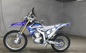 YAMAHA WR250R DG15J