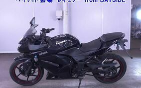 OTHER ﾆﾝｼﾞｬ 250R