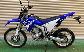 YAMAHA WR250R DG15J