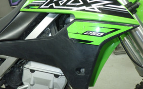 KAWASAKI KLX250 Gen.2 LX250S