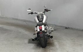 TRIUMPH THUNDERBIRD 2009 TNB11