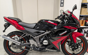 KAWASAKI Ninja 150RR KR150P