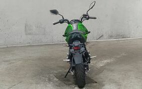 KAWASAKI Z125 PRO BR125H