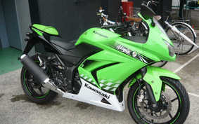 KAWASAKI NINJA 250R SPECIAL EDITION 2010 EX250K