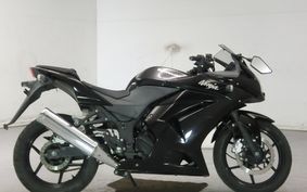 KAWASAKI NINJA 250R 2009 EX250K