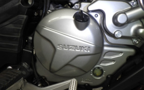 SUZUKI DL650 ( V-Strom 650 ) 2020 C733A