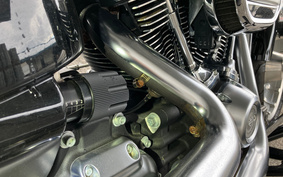 HARLEY FLFBS 2019 YGK