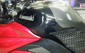 KAWASAKI NINJA 1000 2013