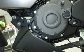 YAMAHA FZS25