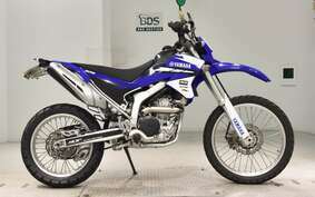 YAMAHA WR250R DG15J