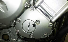 YAMAHA FZ FAZER 2008 RN21J