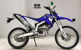 YAMAHA WR250R DG15J