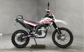 YAMAHA WR250X DG15J