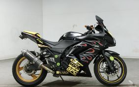 KAWASAKI NINJA 250R 2009 EX250K