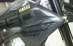 YAMAHA WR250X DG15J