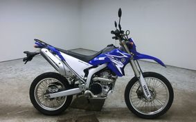 YAMAHA WR250R 2009 DG15J