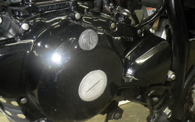 YAMAHA TW225 DG09J