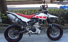 YAMAHA WR250X DG15J