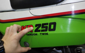 KAWASAKI KR250 KR250A