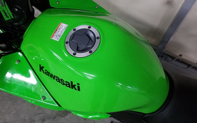 KAWASAKI NINJA 250R EX250K