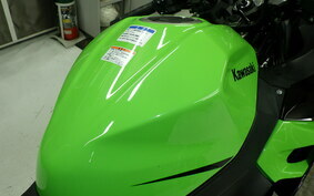 KAWASAKI NINJA 250 EX250P