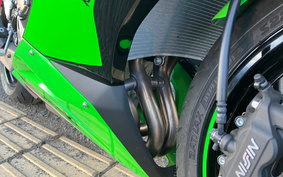 KAWASAKI NINJA ZX-6R 2023 ZX636G