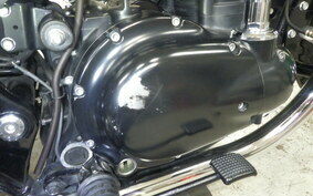 KAWASAKI W800 CAFE 2020 EJ800B