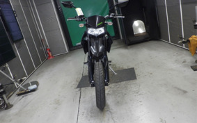 KAWASAKI KLX250D TRACKER X LX250V