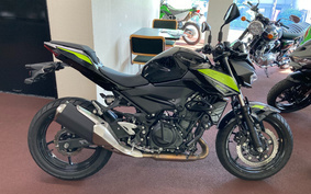 KAWASAKI Z250 EX250P