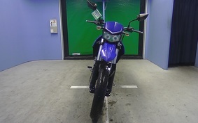 KAWASAKI KLX125D TRACKER X 2009 LX250V