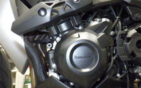 KAWASAKI Z1000 Gen.5 2020 ZXT00W