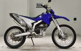 YAMAHA WR250R DG15J